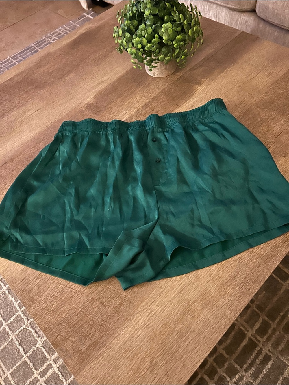 PINK Silky Teal Women’s Lounge Shorts